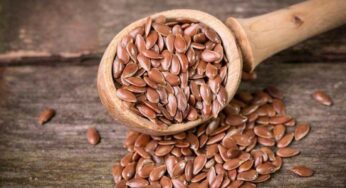 Flax Seeds In Telugu : అవిసె గింజ‌ల‌ను ఎలా తీసుకోవాలో తెలుసా..? పొర‌పాటు చేయ‌కండి..!