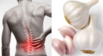 Garlic For Backpain : న‌డుము, వెన్ను నొప్పుల‌కు వెల్లుల్లితో చ‌క్క‌ని ప‌రిష్కారం.. ఏం చేయాలంటే..?