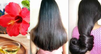 Hibiscus Oil For Hair Growth : మీ జుట్టు న‌ల్ల‌గా, ఒత్తుగా, పొడ‌వుగా పెరగాలంటే.. ఇలా చేయండి..!