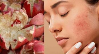 Pomegranate Peel For Face : దానిమ్మ పండు తొక్క‌ల‌తో ఇలా చేస్తే.. ఇక బ్యూటీ పార్ల‌ర్‌కు వెళ్ల‌రు..!