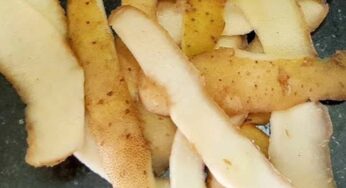 Potato Peels : బంగాళాదుంప‌ల పొట్టు తీస్తే ఇక‌పై ప‌డేయ‌కండి.. ఎందుకో తెలుసా..?