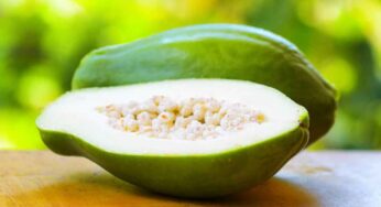 Raw Papaya : ప‌చ్చి బొప్పాయితో ఎన్ని లాభాలు క‌లుగుతాయో తెలిస్తే.. వెంట‌నే తెచ్చుకుని తింటారు..