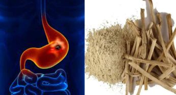 Ulcer Remedy : అల్స‌ర్లు, క‌డుపులో మంట‌కు దివ్యౌష‌ధం ఇది.. ఎలా ఉప‌యోగించాలంటే..?