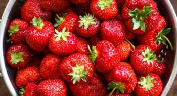 Strawberries : స్ట్రాబెర్రీల‌లో ఇన్ని ఆరోగ్య ర‌హ‌స్యాలు దాగి ఉన్నాయా.. రోజుకు 3 తిన్నా చాలు..!