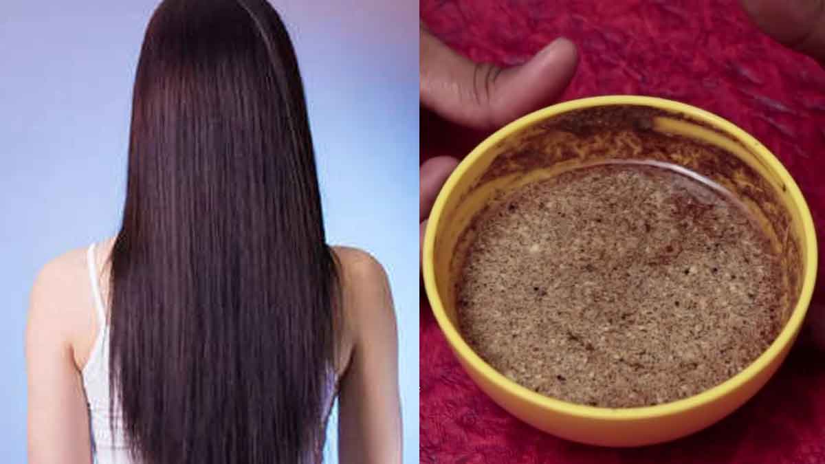 Attar Ayurveda Hibiscus powder for hair growth 100 Grams  Shahi Feast
