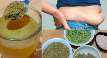 Vamu Powder For Fat : రాత్రి నిద్రించే ముందు ఈ పొడిని క‌లుపుకుని తాగితే.. శ‌రీరంలో అస‌లు కొవ్వు ఉండ‌దు..