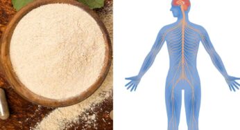 Ashwagandha For Nerves : దీన్ని తింటే చాలు.. న‌రాల బ‌ల‌హీన‌త పోతుంది.. ఎంతో బ‌లం వ‌స్తుంది..