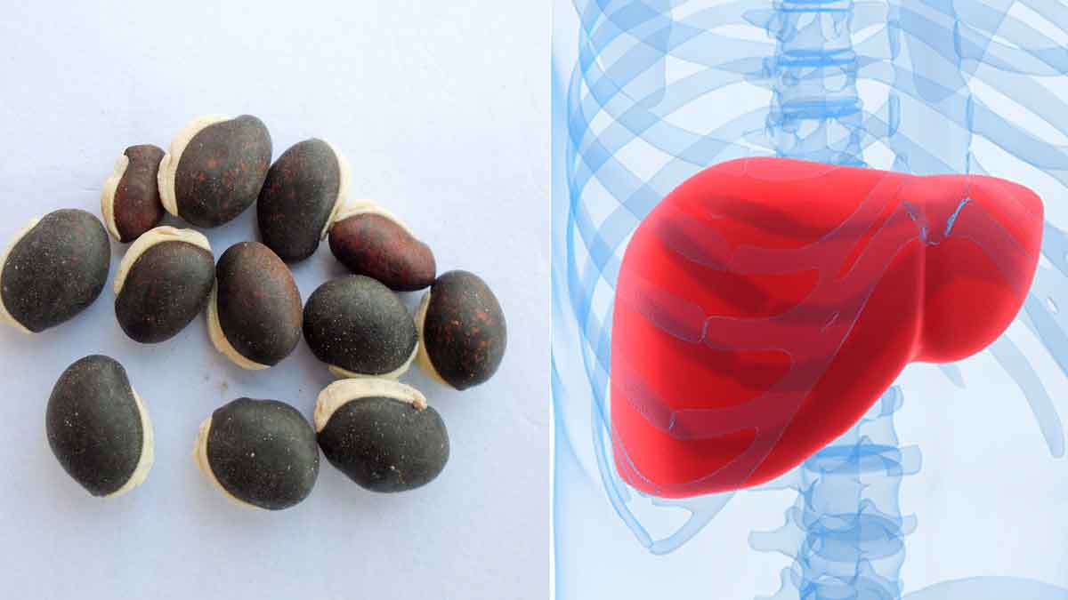 Indian Broad Beans For Liver వీటిని తీసుకుంటే చాలు.. లివ‌ర్‌లో ఉన్న