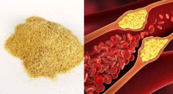 Lemon Peel Powder : ఈ పొడి రోజూ చిటికెడు చాలు.. ర‌క్త‌నాళాల్లో ఉండే కొలెస్ట్రాల్‌ను క‌రిగిస్తుంది..