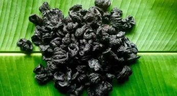 Malabar Tamarind : చింత‌పండులో ఇదొక ప్ర‌త్యేక‌మైన ర‌కం.. దీన్ని వాడితే ఎన్ని లాభాలు క‌లుగుతాయో తెలుసా..?