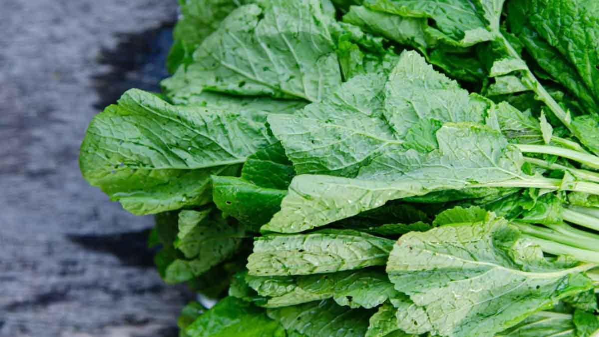 Mustard Leaves ఈ మొక్క ఆకులు ఎక్క‌డ క‌న‌బ‌డినా స‌రే.. విడిచిపెట్ట