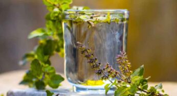 Tulsi Water : తుల‌సి ఆకుల‌తో నీళ్ల‌ను ఇలా త‌యారు చేయాలి.. రోజూ ప‌ర‌గ‌డుపునే తాగాలి..