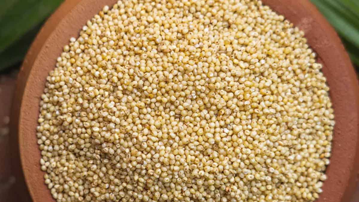 Andu Korralu ఇవి నిజంగా అమృత‌మే.. బ‌రువు త‌గ్గుతారు.. షుగ‌ర్‌, గుండె