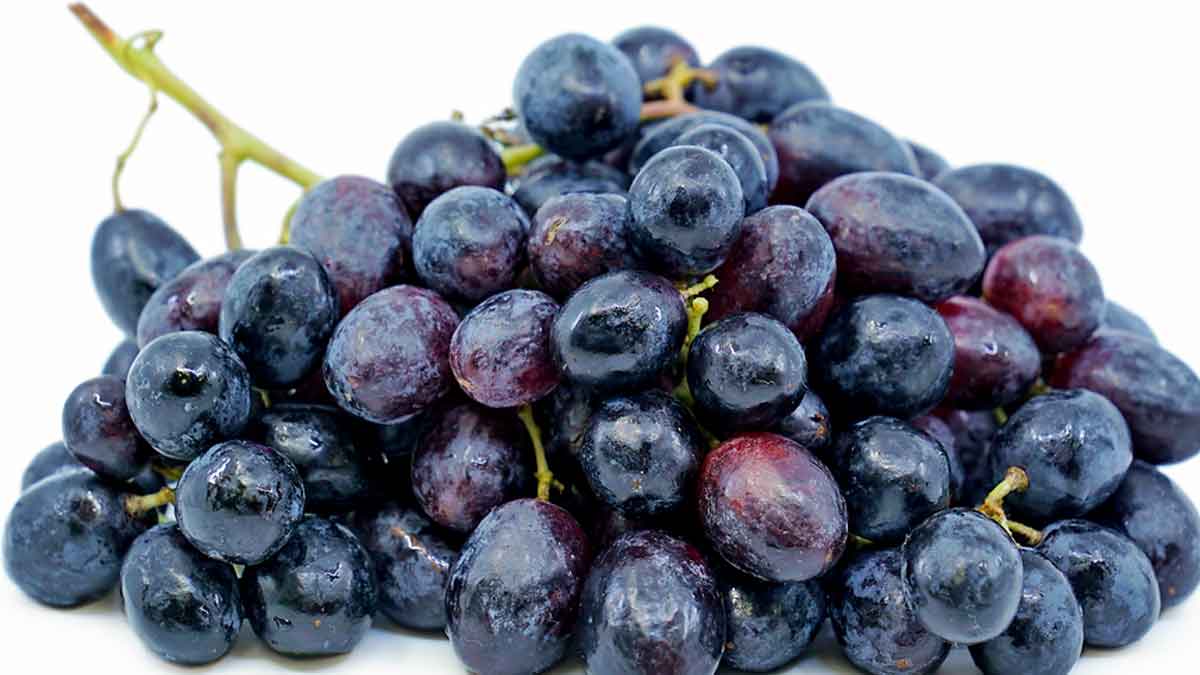 Black Grapes : నల్ల ద్రాక్షలను ఇలా తింటున్నారా.. అయితే జాగ్రత్త ...