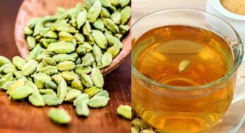 Cardamom Water : యాల‌కుల‌ను నీటిలో వేసి మ‌రిగించి తాగండి.. మిమ్మ‌ల్ని మీరే గుర్తు ప‌ట్ట‌లేరు..!