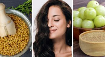 Fenugreek Seeds And Amla : దీన్ని త‌ల‌కు రాస్తే చాలు.. ఊడిన చోట జుట్టు మ‌ళ్లీ పెరుగుతుంది..