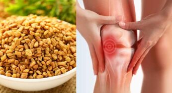 Fenugreek Seeds For Knee Pain : రోజుకి 1 గ్లాస్ చాలు.. మోకాళ్ల నొప్పులు, కీళ్ల నొప్పులు చిటికెలో మాయం.. జ‌న్మ‌లో మ‌ళ్లీ రావు..