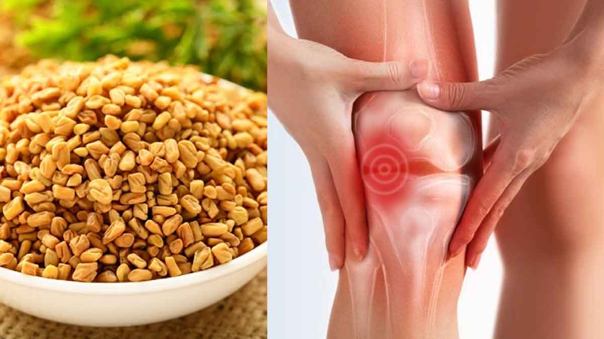 Fenugreek Seeds For Knee Pain రోజుకి 1 గ్లాస్ చాలు.. మోకాళ్ల నొప్పులు