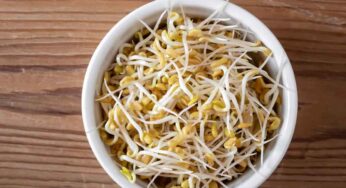 Fenugreek Seeds Sprouts : మెంతుల మొల‌క‌లు ఎంత రుచిగా ఉంటాయో తెలుసా..? ఎన్నో లాభాలు కూడా..!