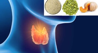 Foods For Thyroid : వీటిని రోజూ తింటే చాలు.. థైరాయిడ్ పూర్తిగా మాయం..!