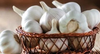 Garlic : ఆయుర్వేద ప‌రంగా వెల్లుల్లి మ‌న‌కు ఎలా ఉప‌యోగ‌ప‌డుతుందో తెలుసా..?