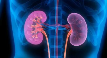 Kidneys : ఈ ల‌క్ష‌ణాలు క‌నిపిస్తున్నాయా.. అయితే నిర్ల‌క్ష్యం చేయ‌కండి.. మీ కిడ్నీలో ప్ర‌మాదంలో ఉన్న‌ట్లే..!