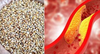 Pearl Millets For Arteries Fat : గుండె, ర‌క్త‌నాళాల్లో ఉండే కొవ్వును కోసి తీసేసిన‌ట్లు మొత్తం క‌డిగి పారేస్తుంది ఇది..!