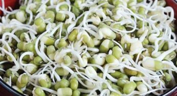 Sprouts Making : మొల‌క‌ల‌ను చేయ‌డం చాలా సింపుల్‌.. ఎలాగంటే..?