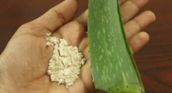 Aloe Vera Face Pack : క‌ల‌బంద‌తో ఇలా చేస్తే.. చెప్ప‌లేనంత అందం మీ సొంత‌మ‌వుతుంది..!