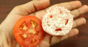 Beauty With Tomato : ట‌మాటాల‌తో ఇలా చేస్తే మీ ముఖం మెరిసిపోతుంది..!