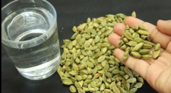 Cardamom With Warm Water : రోజూ యాల‌కుల‌ను ఇలా తింటే ఎన్ని లాభాలు క‌లుగుతాయో తెలుసా..?