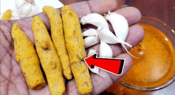 Garlic And Turmeric : రోజూ వీటిని ఇలా తీసుకుంటే చాలు.. ర‌క్త‌నాళాల్లో అడ్డంకులు ఉండ‌వు.. హార్ట్ ఎటాక్ లు రావు..