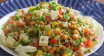 Protein Rich Salad : శ‌రీరానికి అద్భుత‌మైన శ‌క్తిని అందించే.. ప్రోటీన్ రిచ్ స‌లాడ్‌.. ఇలా చేయాలి..!