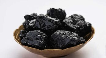 Shilajit : అన్ని ర‌కాల రోగాల‌ను త‌గ్గించే దివ్యౌష‌ధం ఇది.. అంద‌రూ రోజూ తినాలి..!