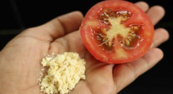 Tomato For Beauty : ట‌మాటాల‌తో ఇలా చేస్తే మీ ముఖం త‌ళ‌త‌ళా మెరిసిపోతుంది..!