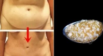 Belly Fat Drink : 10 రోజుల్లో మీ పొట్ట తగ్గడం ఖాయం.. ఇలా చేయాలి..!