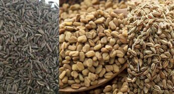 Black Cumin : రోజూ తీసుకుంటే చాలు.. జీర్ణ స‌మ‌స్య‌లు, షుగ‌ర్‌, కీళ్ల నొప్పులు మాయం..!