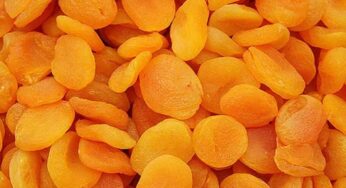 Dry Apricot : ఈ పండ్ల‌లో ఉండే పోష‌కాలు, ఆరోగ్య‌క‌ర‌మైన ప్ర‌యోజ‌నాల గురించి తెలిస్తే.. అస‌లు విడిచిపెట్ట‌రు..!