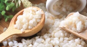 Epsom Salt : అనేక రోగాల‌ను త‌గ్గించే ఔష‌ధం ఇది.. ఎలా ఉప‌యోగించాలంటే..?