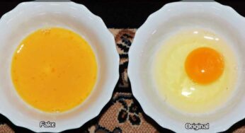 Fake Vs Original Eggs : పుట్ట‌లు పుట్ట‌లుగా వ‌స్తున్న న‌కిలీ కోడిగుడ్లు.. వీటిని గుర్తించ‌డం ఎలా.. ఈ సింపుల్ టిప్స్‌ను ఫాలో అవ్వండి..!