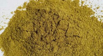 Fennel Powder : ఈ పొడి విలువ తెలిస్తే.. వెంటనే తినడం ప్రారంభిస్తారు.. ఏమేం ప్రయోజనాలు కలుగుతాయంటే..?