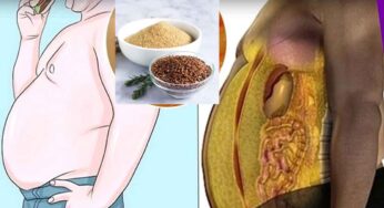 Flaxseeds Powder For Belly Fat : చిటికెడు తింటే చాలు.. మీ పొట్ట చుట్టూ ఉన్న కొవ్వు మంచులా కరిగి పోతుంది..