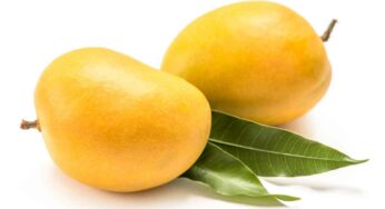 Mangoes : మామిడి పండ్ల‌ను అధికంగా తింటున్నారా.. అయితే జాగ్ర‌త్త‌..!