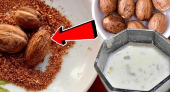 Nutmeg For Back Pain : వెన్ను నొప్పి, కీళ్ల నొప్పులను మాయం చేసే రామ బాణం ఈ ఔషధం.. ఎలా ఉప‌యోగించాలంటే..?