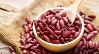 Rajma Seeds : ఆరోగ్యానికి ఎంతో మేలు చేసే రాజ్మా.. ఎన్ని ప్ర‌యోజ‌నాలు క‌లుగుతాయంటే..?