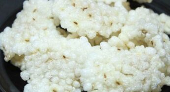 Sabudana Steamed Papad : స‌గ్గుబియ్యంతో చేసే ఈ ఆవిరి వ‌డియాల‌ను ఎప్పుడైనా తిన్నారా.. ఎంతో రుచిగా ఉంటాయి.. ఎలా చేయాలంటే..?