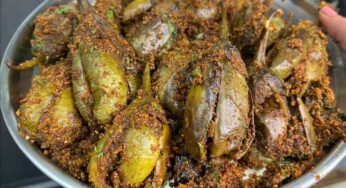 Vankaya Masala Fry : వంకాయ మసాలా ఫ్రై.. ఒక్కసారి ఈ విధంగా ట్రై చేసి చూడండి.. తిన్నారా.. మైమరచిపోతారు..!