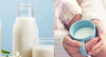 Cold And Hot Milk : చ‌ల్ల‌ని పాలు.. వేడి పాలు.. ఈ రెండింటిలో ఆరోగ్యానికి ఏవి మంచివి..?