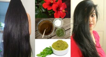 Hibiscus Leaves And Flowers For Hair : మందార పువ్వులు, ఆకుల‌తో ఇలా చేస్తే చాలు.. తెల్ల జుట్టు న‌ల్ల‌గా మారుతుంది..!