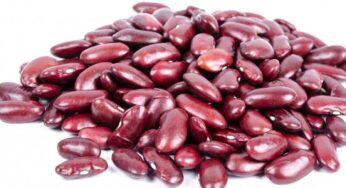 Kidney Beans : ఆరోగ్యాన్ని అందించ‌డంలో వీటికి ఇవే సాటి.. ఎన్ని ప్ర‌యోజ‌నాలో తెలుసా..?